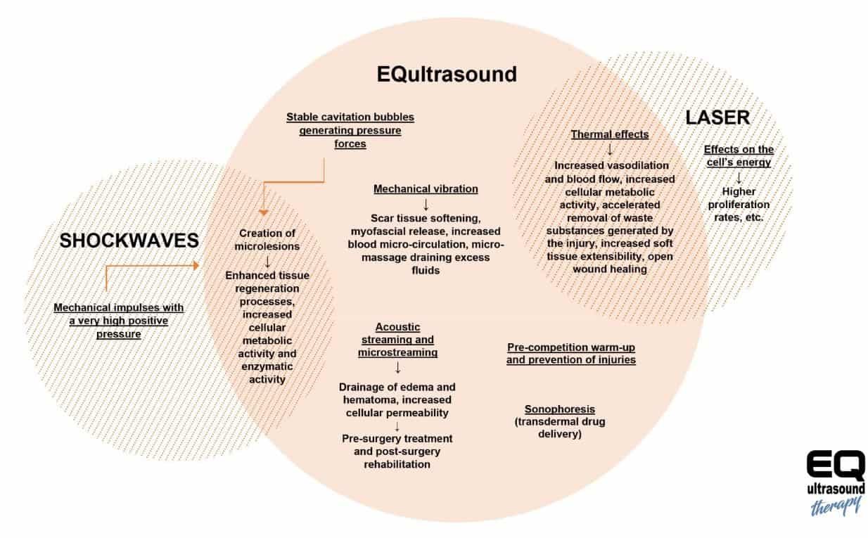 pferdesportpraxis-tierarzt-dr-matthias-keller-pferdespezialist-equine-orthopaedische-und-manuelle-medizin-fuer-sportpferde-faszientherapie.jpg